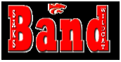 saks band graphic